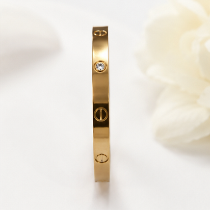 The Eternity Rivet Bangle
